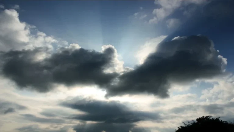 Punjab में आंधी-तूफान और बारिश का अलर्ट, मौसम विभाग ने इन तारीखों के लिए जारी की चेतावनी।