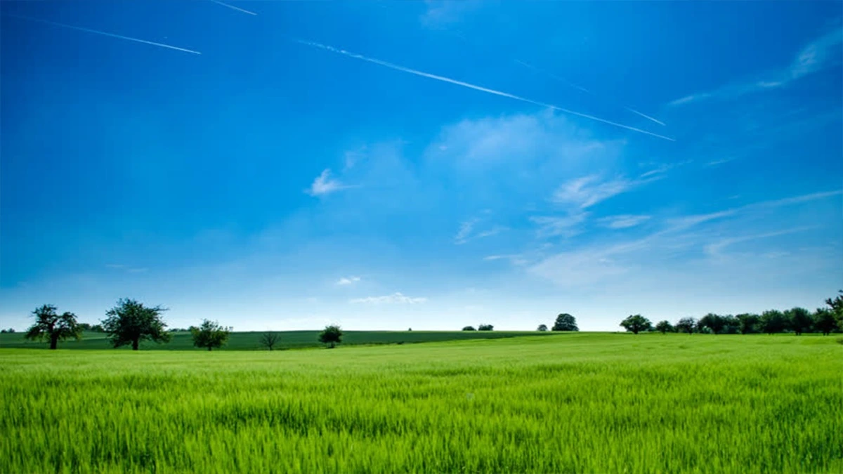 Haryana में जमीन रजिस्ट्री के नियमों में बड़ा बदलाव, अब पूरी प्रक्रिया होगी डिजिटल।