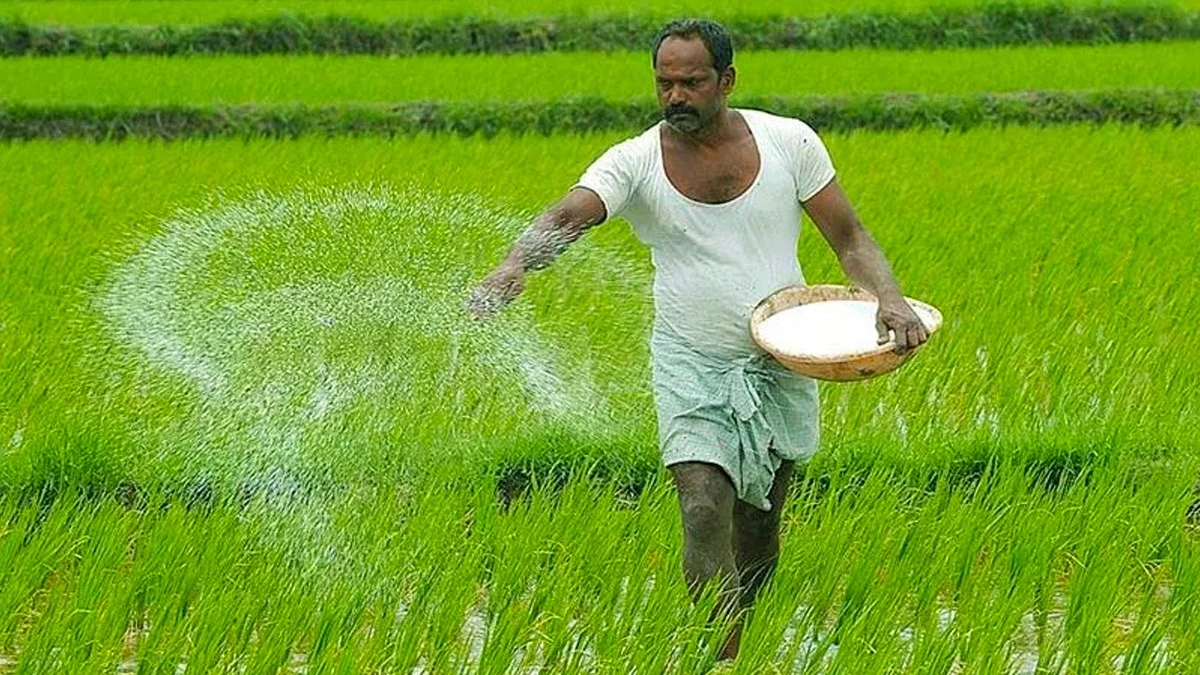 Haryana कृषि विश्वविद्यालय की सलाह: तेज हवाओं से फसलों को बचाने के लिए अगले 3-4 दिनों तक सिंचाई से दूर रहें किसान।