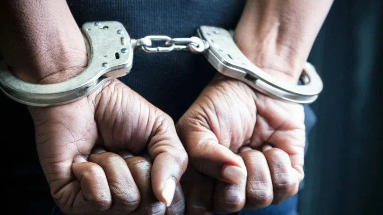 पंजाब: NDPS अधिनियम के तहत 1072 एफआईआर दर्ज, 1485 ड्रग तस्कर गिरफ्तार, 26 नशा तस्करों के ढहाए गए घर।