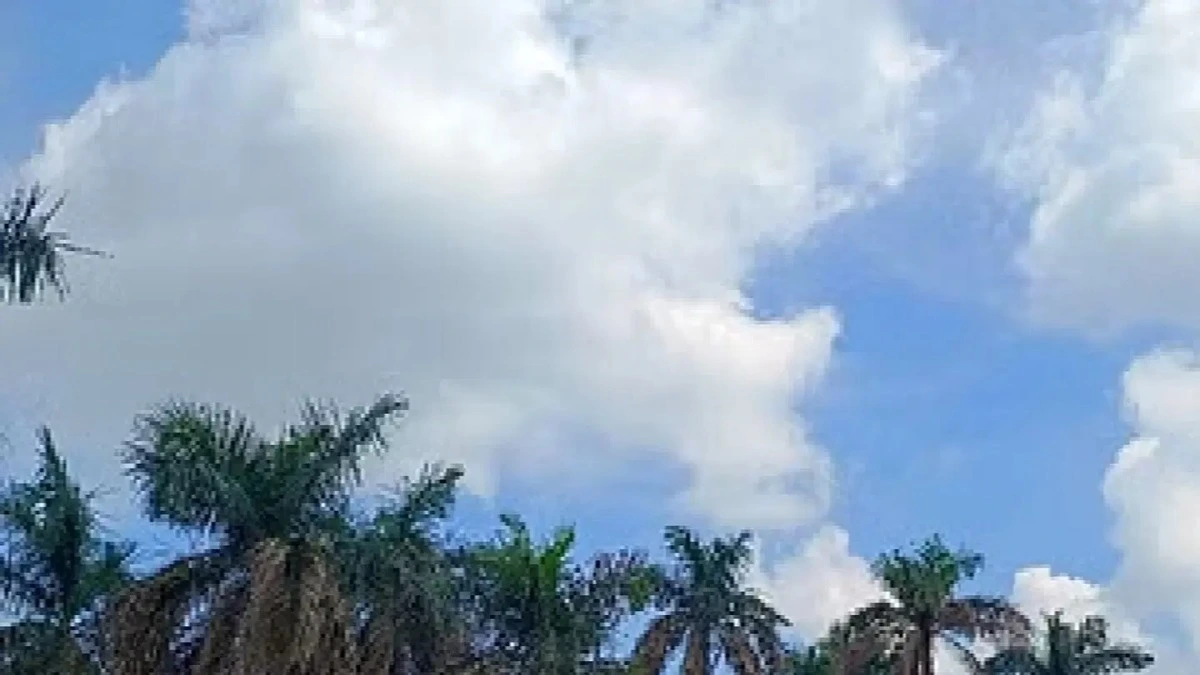 Haryana में मौसम साफ, अब दिन रहेंगे खुश्क: सिरसा सबसे गर्म, तापमान सामान्य से 2.4°C अधिक।