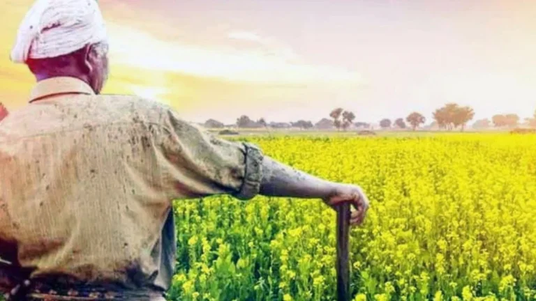 Haryana: आ/ग से फसलों को हुए नुकसान पर किसानों को मिलेगा मुआवजा, CM सैनी ने की घोषणा।