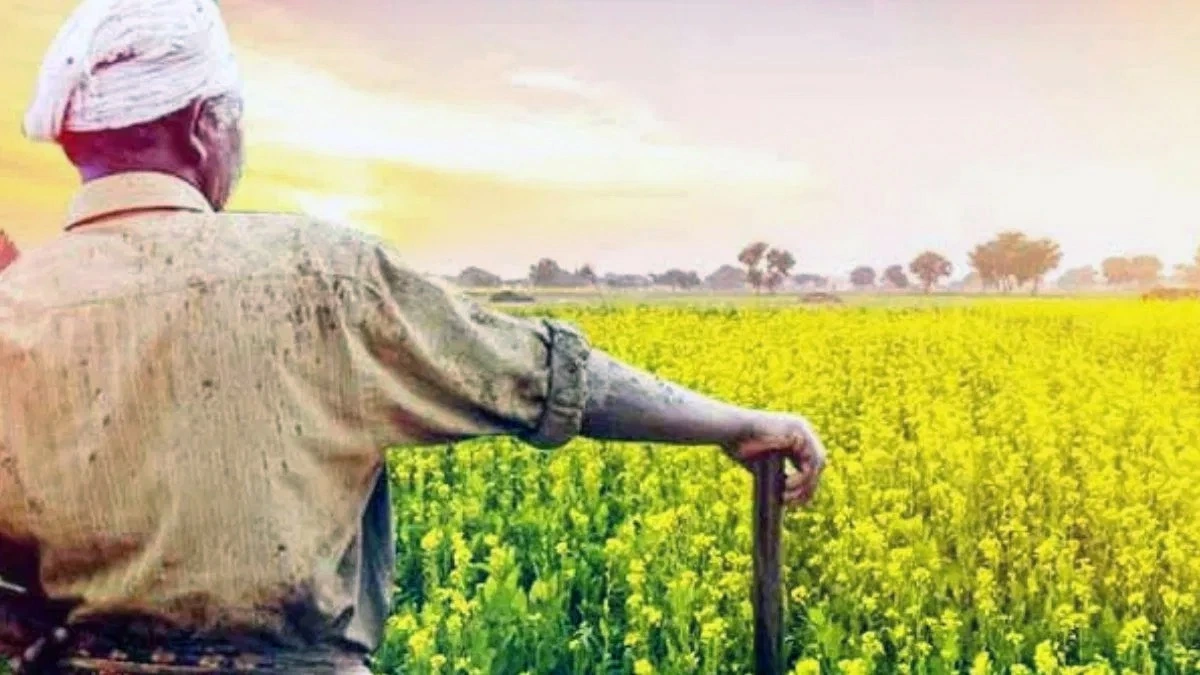 Haryana: आ/ग से फसलों को हुए नुकसान पर किसानों को मिलेगा मुआवजा, CM सैनी ने की घोषणा।