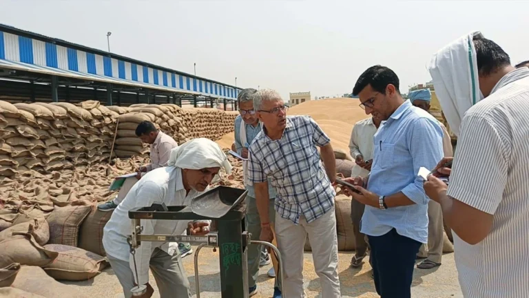 Haryana की अनाज मंडियों में गेहूं के ज्यादा तोलने का फर्जीवाड़ा: CID जांच में 62 आढ़तियों पर ₹45 लाख का जुर्माना।