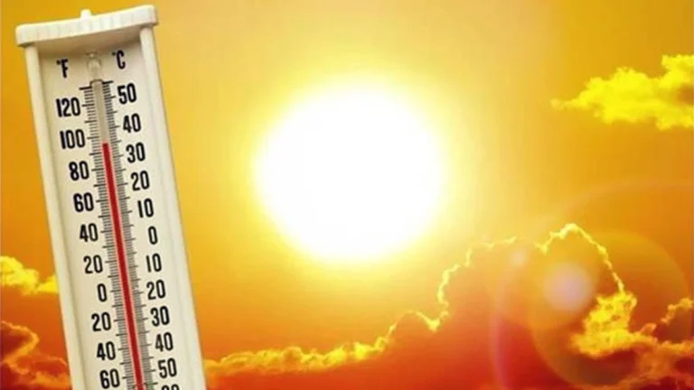 Haryana में भीषण गर्मी का कहर, 16 जिलों में अलर्ट जारी – जानिए IMD का नया पूर्वानुमान।