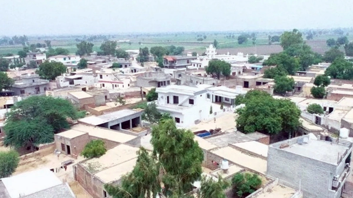 Punjab: शहर में फिर घुसा तेंदुआ, दहशत में लोग, वन विभाग ने जारी की चेतावनी।