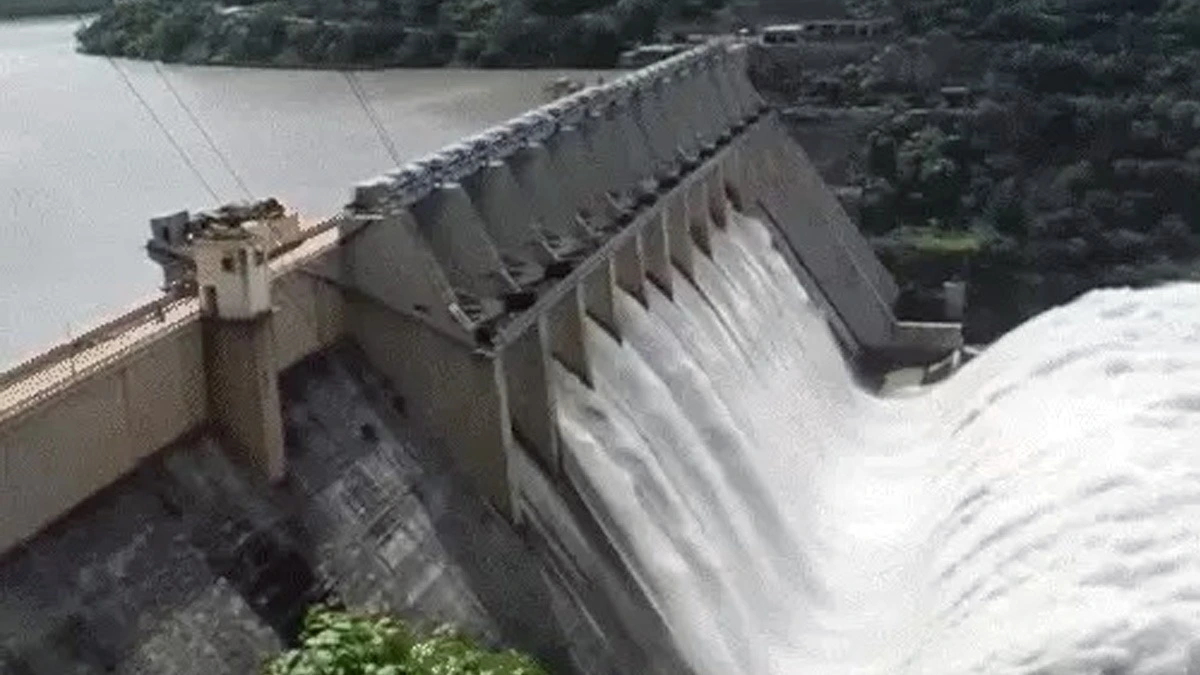 Haryana ने 21 मई से 10,300 क्यूसेक पानी की मांग की; पंजाब के सिंचाई मंत्री बोले, भाखड़ा लाइन की क्षमता 11,700 क्यूसेक से अधिक नहीं।