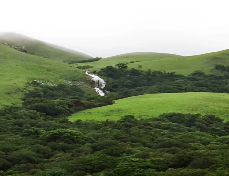 Haryana में शुरू हुआ देश का सबसे बड़ा Environmental Mission, Aravalli के Dry Lands फिर होगे हरी