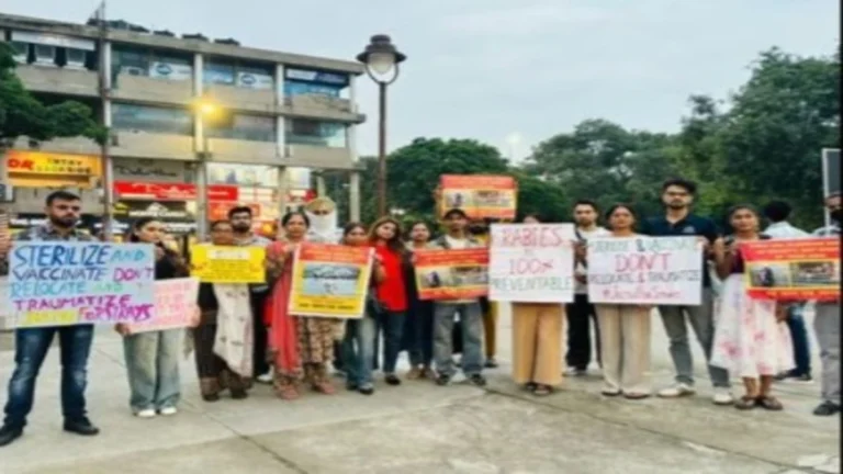Chandigarh में हुआ बड़ा Protest: Supreme Court के Order के खिलाफ निकला ‘Ray for Strays’ प्रदर्शन