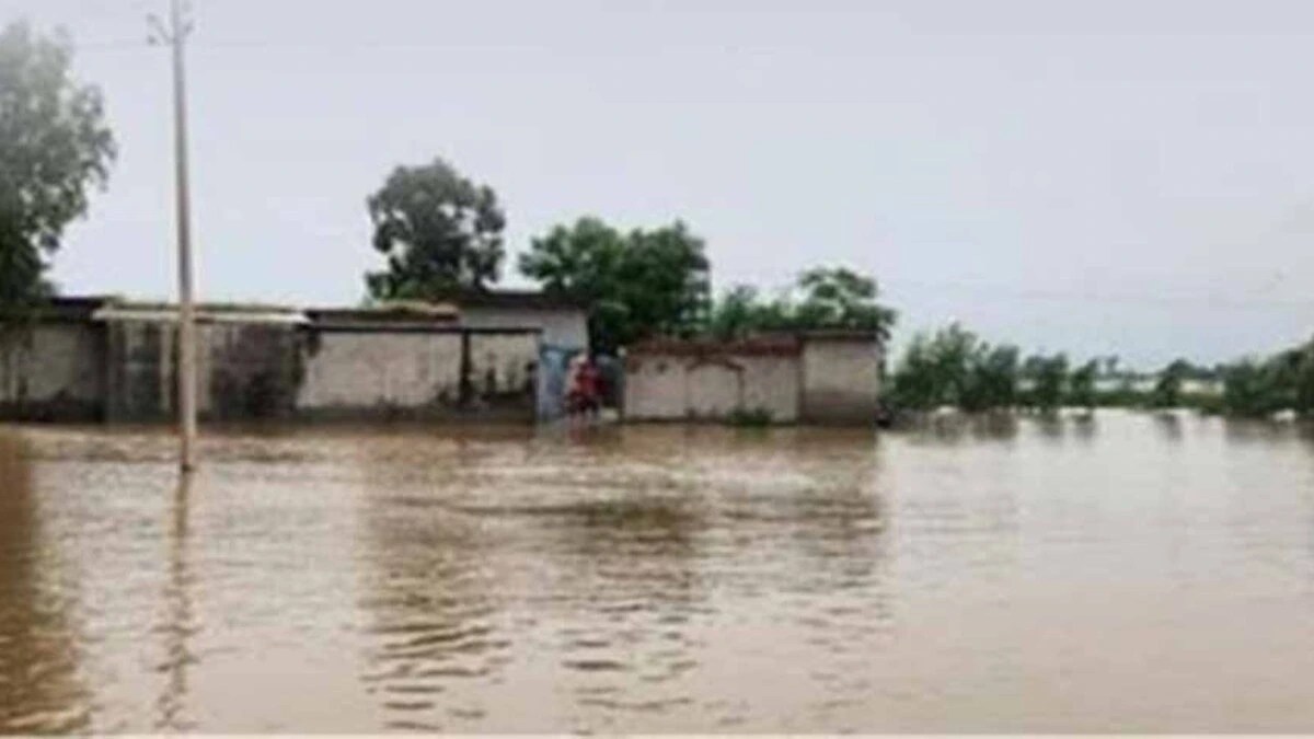 Punjab में बाढ़ संकट: Government Alert Mode पर, Control Rooms 24×7 Active, Schools बंद और Compensation का ऐलान