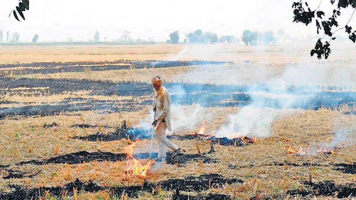 Stubble Burning की समस्या से निपटने के लिए Punjab Government की बड़ी पहल, Cooperative Banks के ज़रिए शुरू की Crop Residue Management Loan Scheme