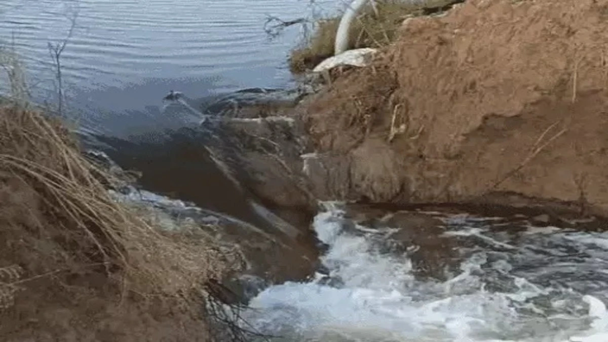 Haryana में बारिश और बाढ़ से हाहाकार: Ghaggar Drain में 50 Foot दरार, 5754 गांव जलमग्न, लाखों किसान परेशान