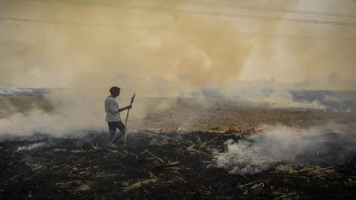 Punjab में पराली जलाने के 415 मामले: पिछले साल थे 1510, 172 घटना में FIR दर्ज, 189 मामलों में लगा जुर्माना!