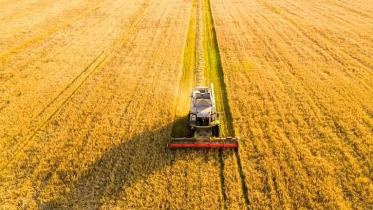 Punjab में पराली जलाने की Incidents में 75% गिरावट, फिर भी Delhi Pollution के लिए Punjab के किसान क्यों निशाने पर?