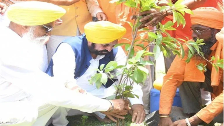 Punjab में हरियाली की नई क्रांति: Mann सरकार ने बढ़ाया Tree Cover 177.22 Square Kilometers तक!