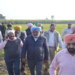 श्री गुरु रविदास बाणी अध्ययन केंद्र के लिए पंजाब सरकार ने 10.50 एकड़ भूमि का कब्जा लिया: हरपाल सिंह चीमा