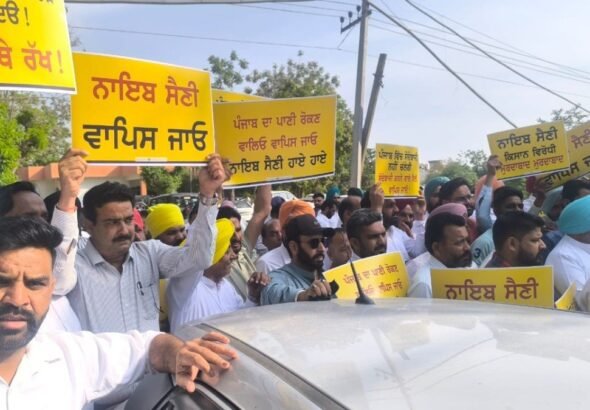 समाना में Saini को दिखाए गए काले झंडे, आप ने ”Go Back” के नारों के साथ किया ज़ोरदार प्रदर्शन