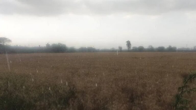 Punjab Weather: पंजाब में फिर बदला मौसम, आज और कल आंधी के साथ होगी बारिश; ओलावृष्टि का ऑरेंज अलर्ट
